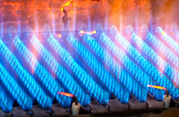 Kelvinside gas fired boilers